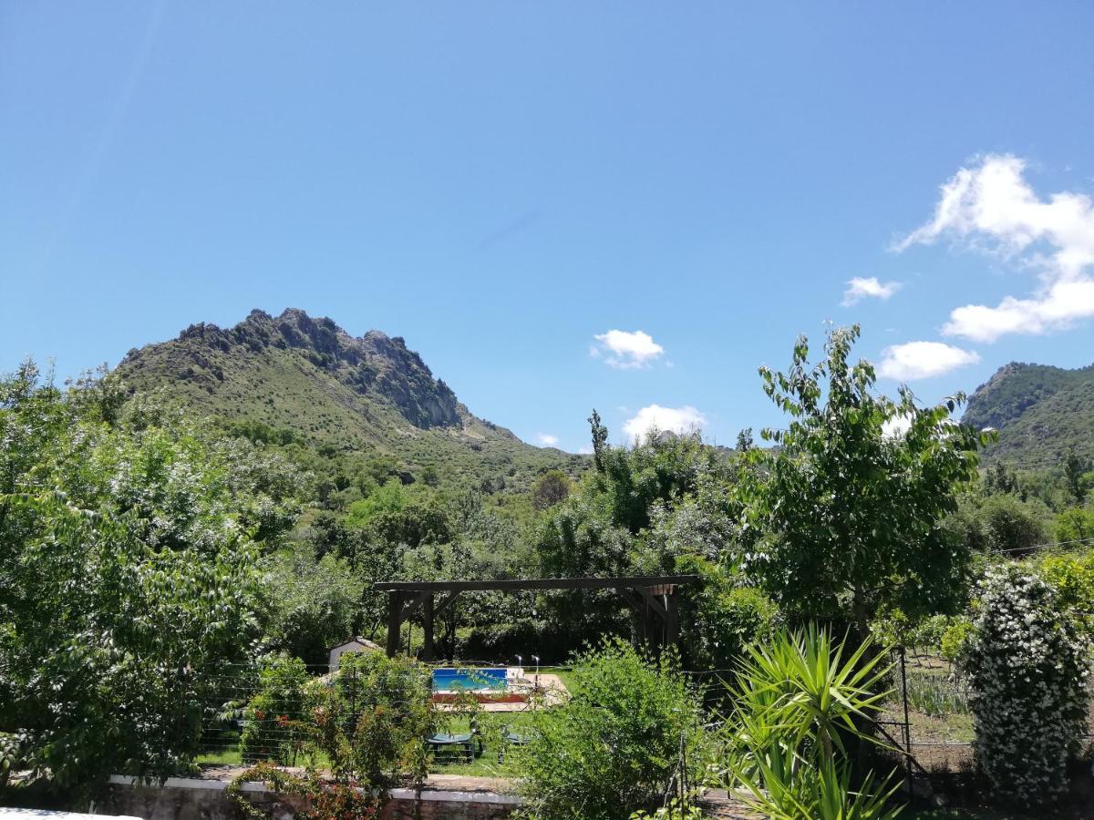 La Maquinilla *