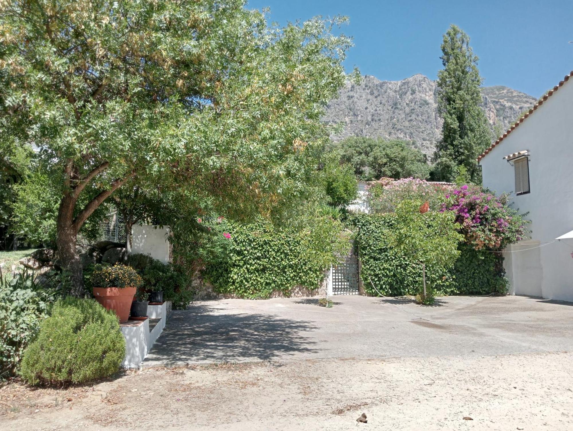 La Maquinilla * Grazalema