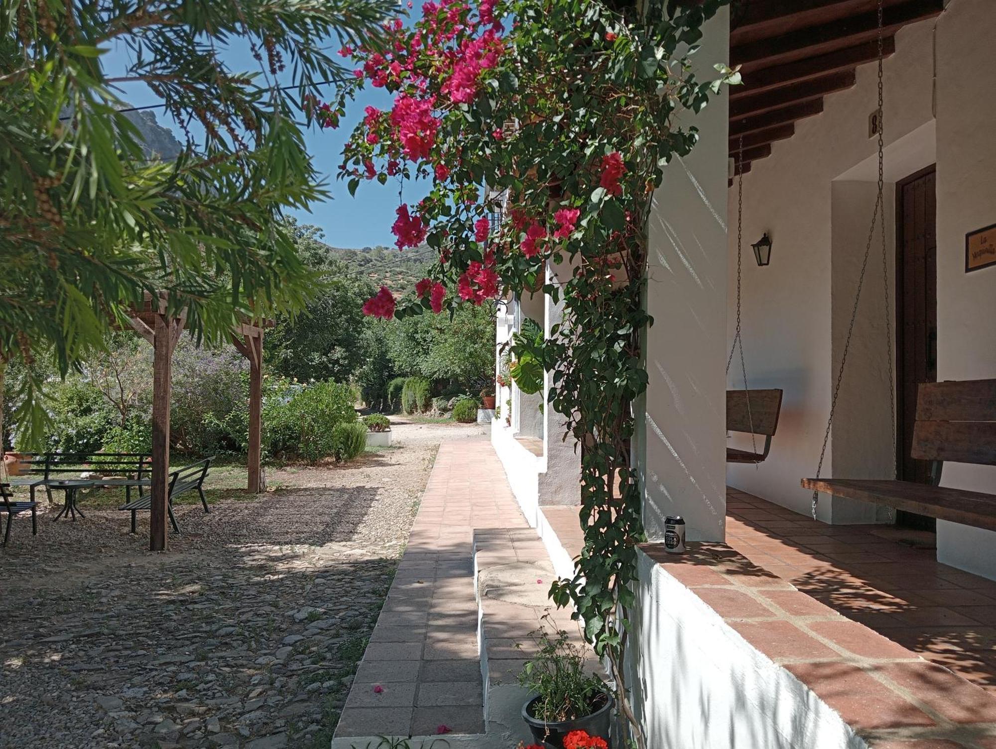 Сasa de vacaciones La Maquinilla Grazalema
