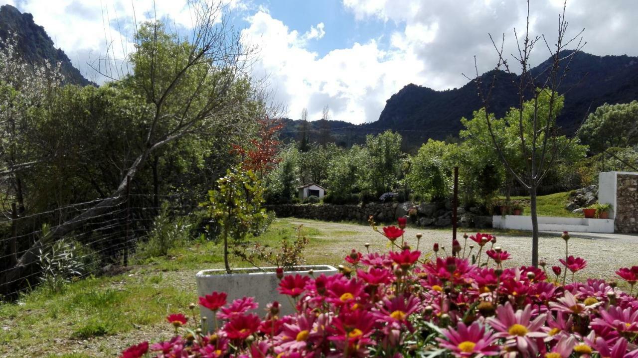 La Maquinilla *