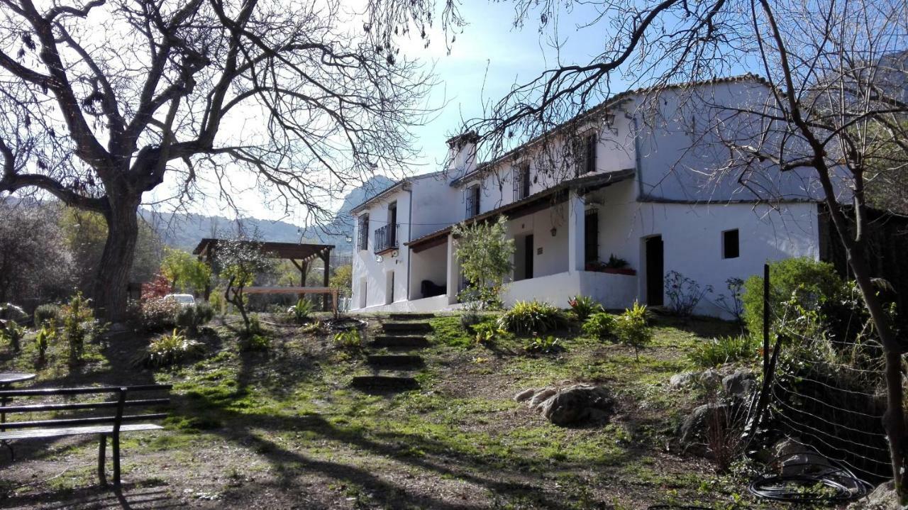 La Maquinilla * Grazalema