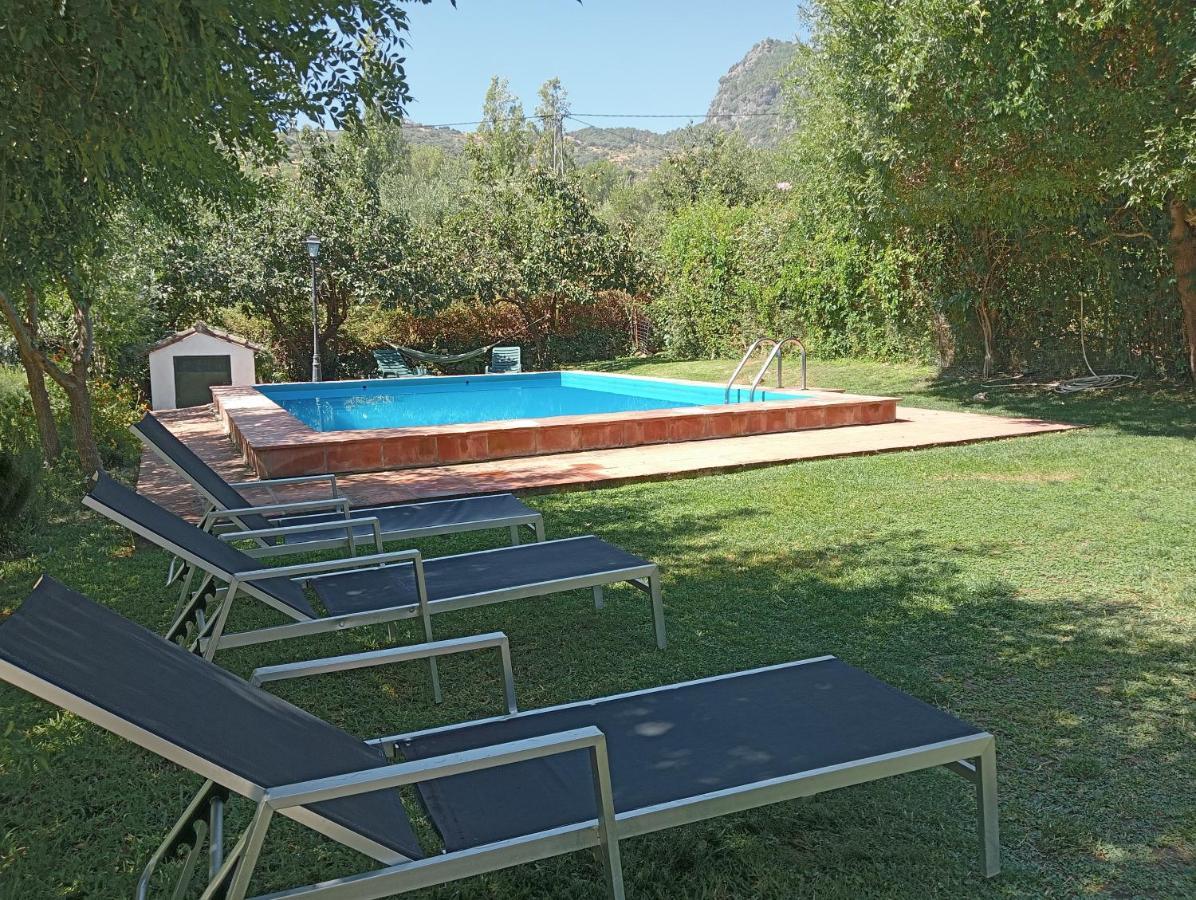 La Maquinilla *