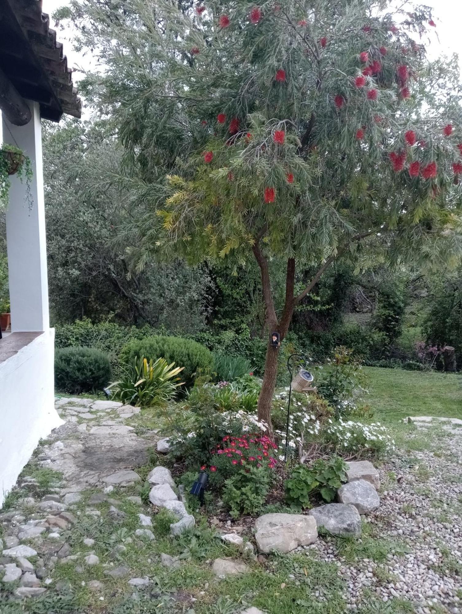 La Maquinilla Hébergement de vacances Grazalema